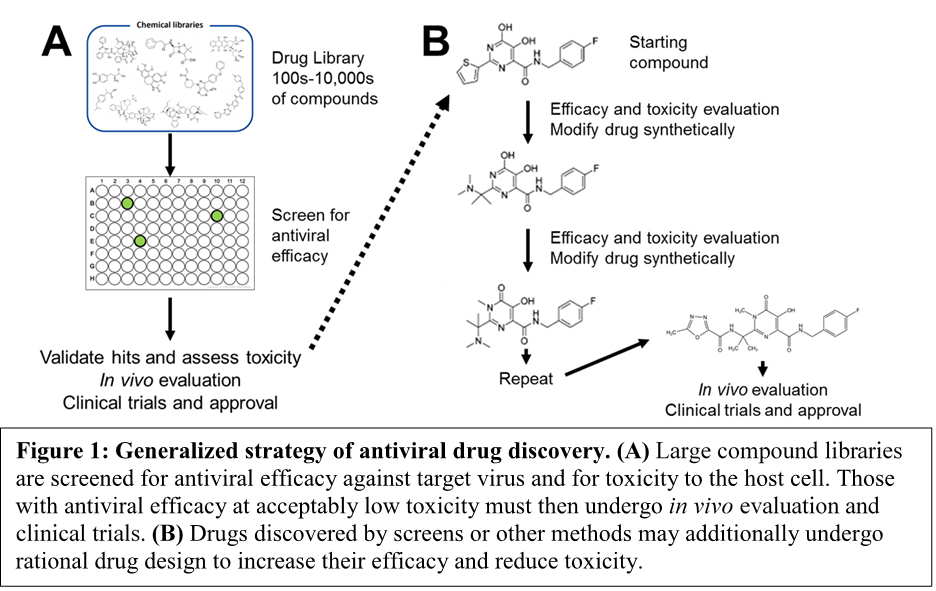What Are Some Challenges Of Developing Antiviral Medications In Antiviral Drug Development, the Curve is Steep | Charles River